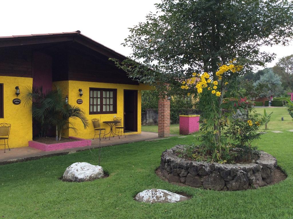 Cabanas La Chicharra Xico Cameră foto